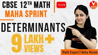 Complete Determinants Chapter with Problems  Determinants Class 12  CBSENCERT Maths  Vedantu [upl. by Naasah]