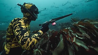 SPEARFISHING BASICS IN UNDER 2 MINUTES [upl. by Dyl]