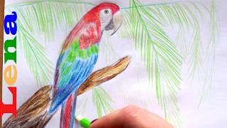 Papagei zeichnen mit Lena 🦜 Vogel malen🦜 How to draw a parrot 🦜 Bird drawing🦜 как нарисовать попугая [upl. by Nyladnar]