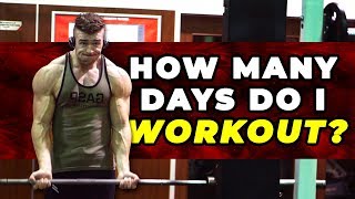 How Many Days Per Week I Workout To Maintain My Physique [upl. by Anrahc364]