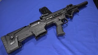 Review Panzer BP12  The Inexpensive Tavor 12 [upl. by Oregolac289]