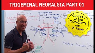 Trigeminal Neuralgia  Causes and Treatment  Part 1 [upl. by Darce]