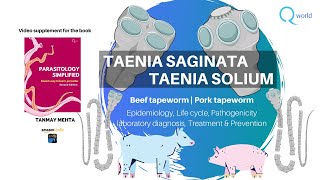 Taenia saginata and solium Parasitology Tutorials NEETPG NEXT USMLE UKMLE FRCPath Review [upl. by Arondell]