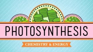 Photosynthesis Crash Course Biology 8 [upl. by Arved]