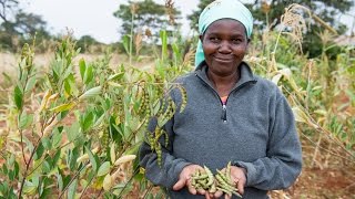 Food For Life  Ecological Farming in Kenya [upl. by Bayly]