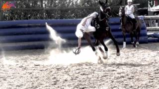 HorseBall  The most impressive equestrian sport [upl. by Robinia]