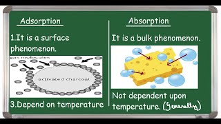 Adsorption Vs Absorption Differences [upl. by Neelrahc882]