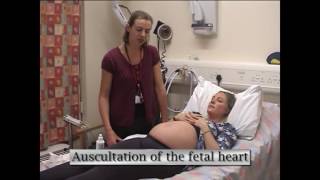 Abdominal palpation of a pregnant Mother [upl. by Ahcirt]