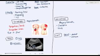 Gallbladder Diseases cholelithiasis choledecholithiasis cholecystitis cholangitis [upl. by Eimmis]