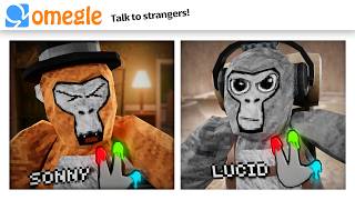 OMEGLE Trolling in Gorilla Tag [upl. by Yantruoc]