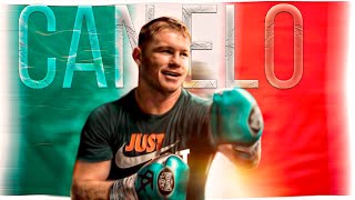 SAUL CANELO ALVAREZ  Training 2021  Ready for Billy Joe Saunders [upl. by Anihsak]