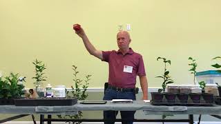 Growing Camellias from Cuttings and Seed by Gene Phillips [upl. by Nomzzaj]