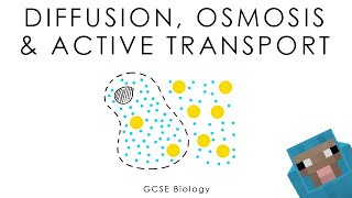 Diffusion Osmosis amp Active Transport  Biology full version [upl. by Uolyram]