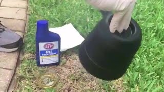 DIY getting rid of yellow flies [upl. by Alfie599]