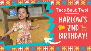 Harlow’s 2nd Birthday Fiesta 🪅 🌮 [upl. by Irec53]