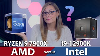 AMD Ryzen 9 7900X Review  20 Games Tested vs 12900K 5950X [upl. by Pirri]