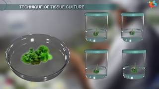 Tissue Culture [upl. by Nodanrb]