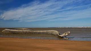 Serpent d’Océan  A Massive Metal Sea Serpent Skeleton on a Beach in France [upl. by Libnah98]