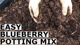 Easy Blueberry Potting Mix Recipe Without Expensive Shipped In Ingredients [upl. by Kama]