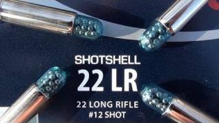 22 LR CCI Shotshell [upl. by Enale]