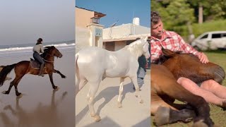 Horse Videos That Went Viral 26 [upl. by Barbaraanne305]